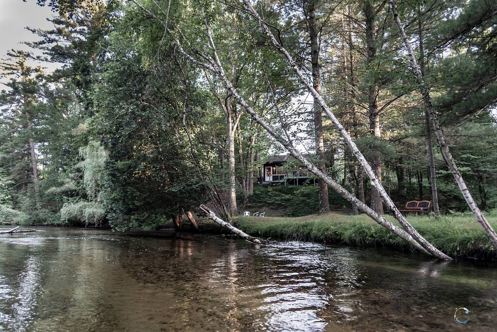 Cozy Riverfront Cabin A Nature Lover's Paradise! Cabins for Rent in