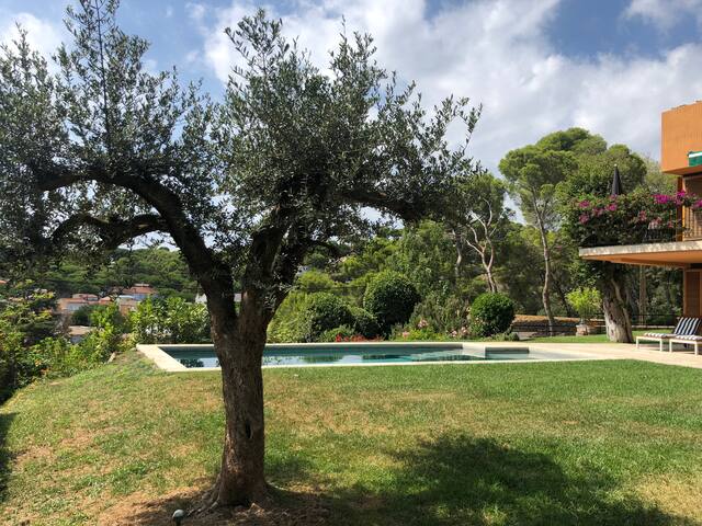 Beautiful Villa Mare Llafranc gallery image 4