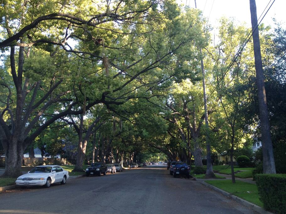 Neighborhood