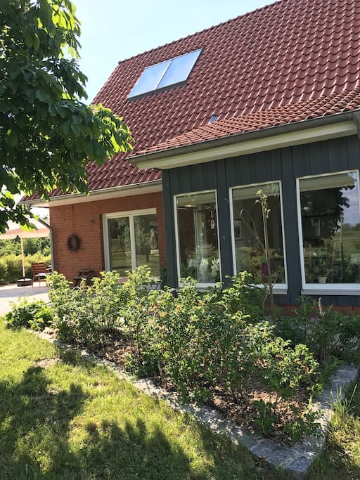 zum genießen und sehen