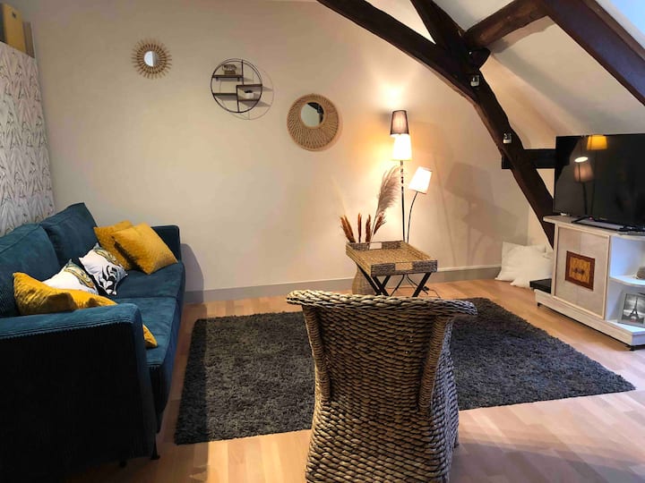 Bel Appartement Avec Vue Sur La Tour De L’horloge - Chinon