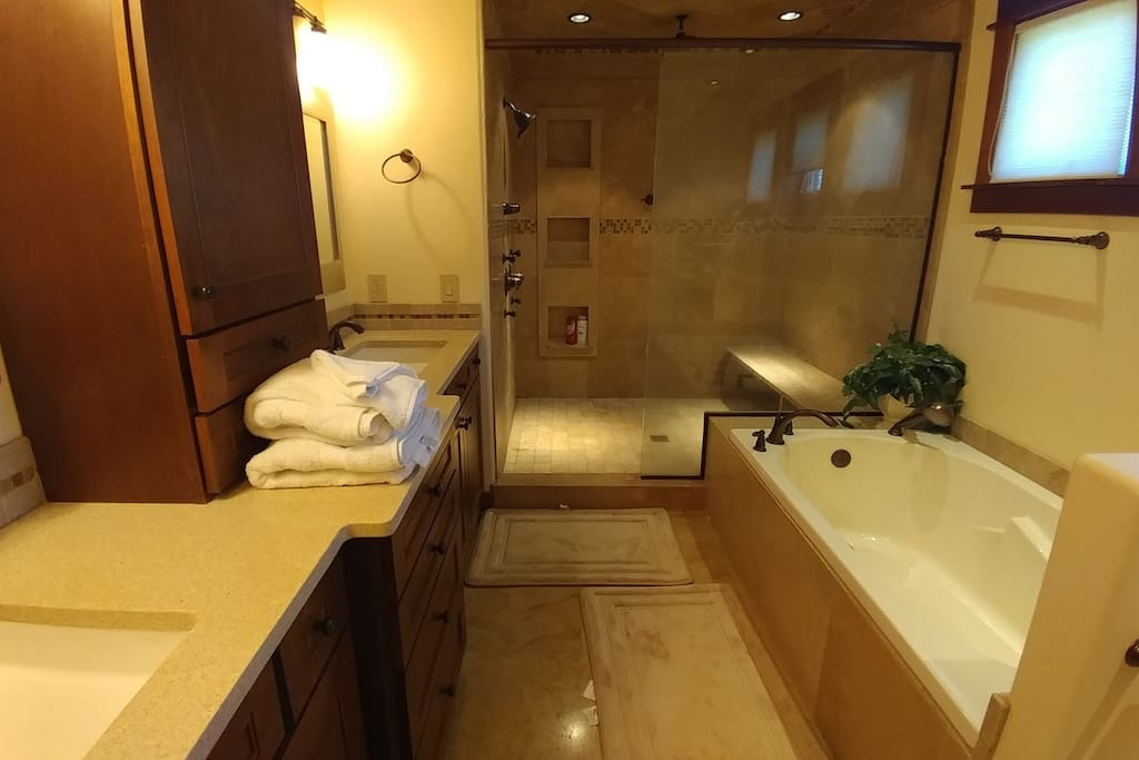 Master bathroom. Huge tub, shower with two jets, showerhead and rain head!