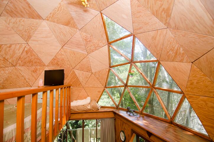 You can see the trees through the dome window. The LED screen we have is bigger now.