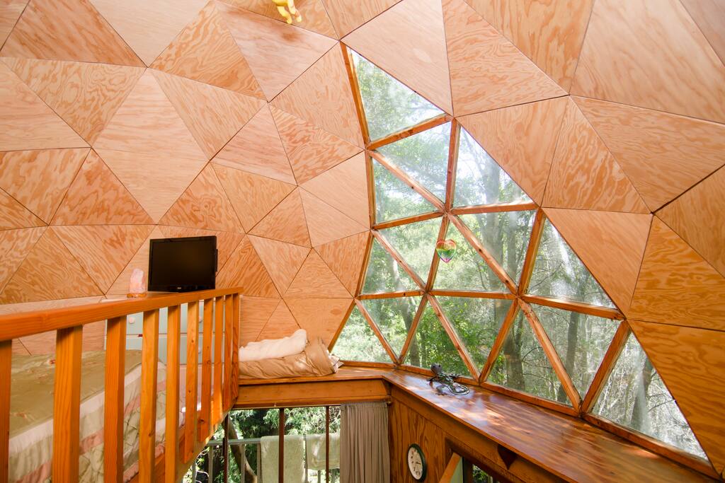 You can see the trees through the dome window. The LED screen we have is bigger now.
