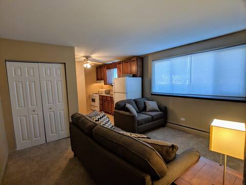 Fully Furnished and Updated 1 Bedroom Apt 910-3