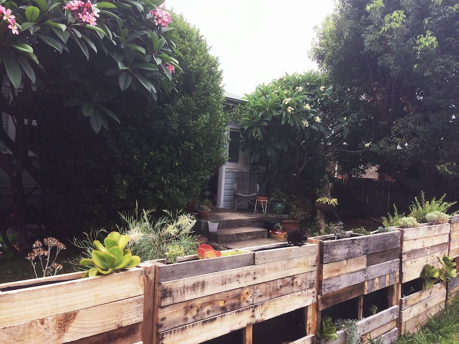Tucked away behind frangipanis and a pallet fence full of succulents...