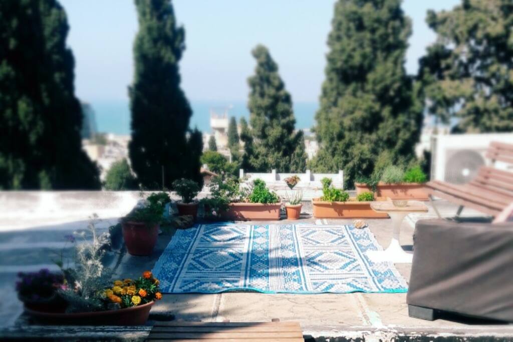 roof view place