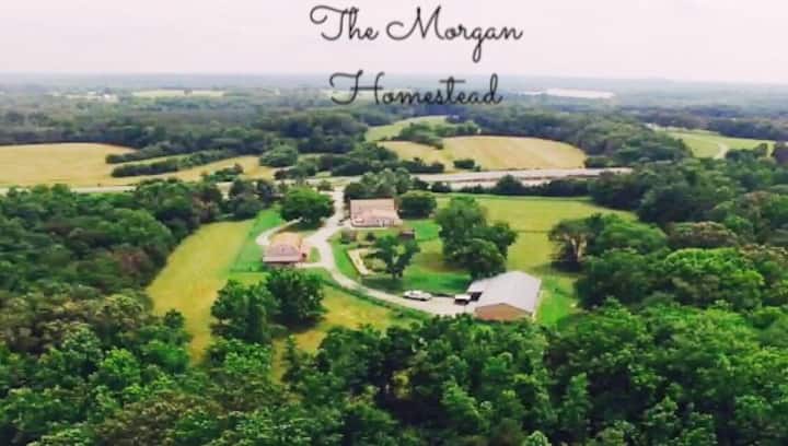 Morgan's Homestead - Heart Of Va! - 維珍尼亞
