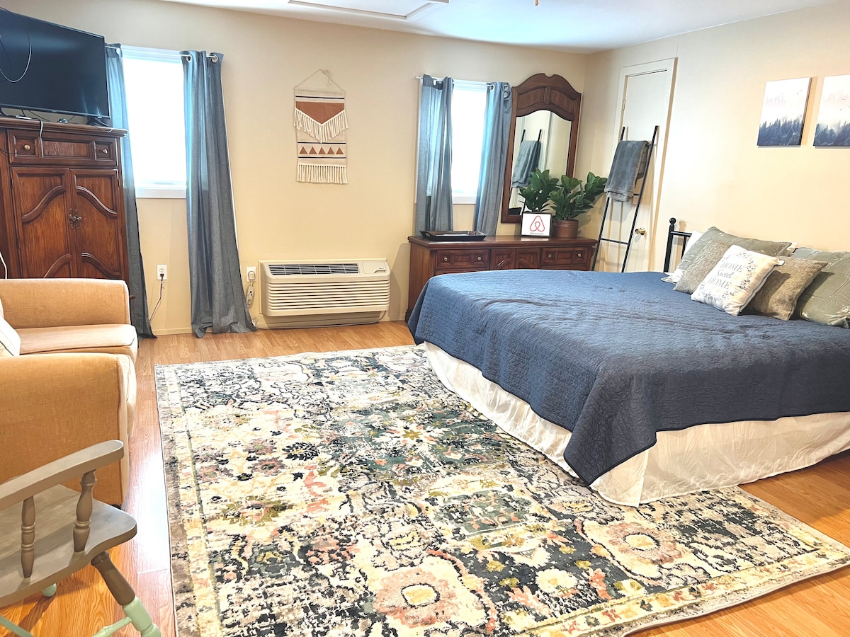 A spacious sleeping area features a large bed dressed in a dark coverlet, complemented by decorative pillows. Nearby, two windows are framed with gray curtains. An area rug with intricate designs adds warmth, while a wooden dresser and a chair provide additional furnishings.
