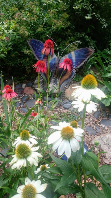 The Garden