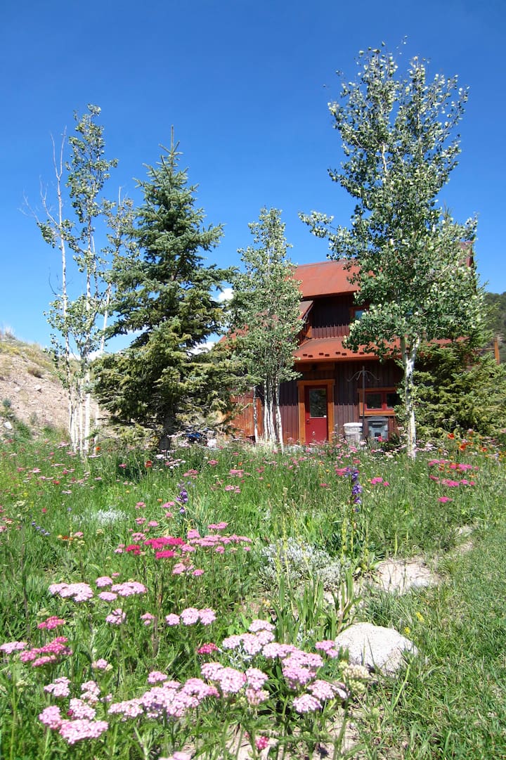 Start your adventures from here... Guesthouses for Rent in Ridgway