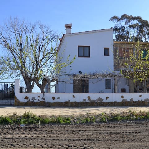 Download Bonica cabana de platja Free Bonica Cabana De Platja