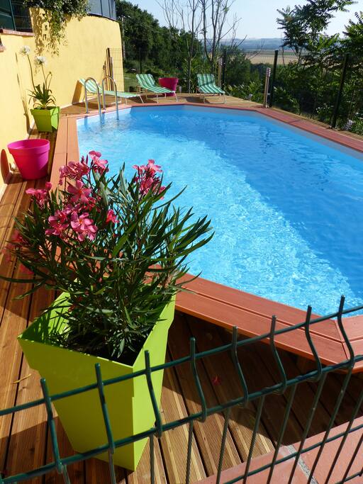 vue sur la piscine l'été