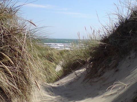 Cottage by Skagen