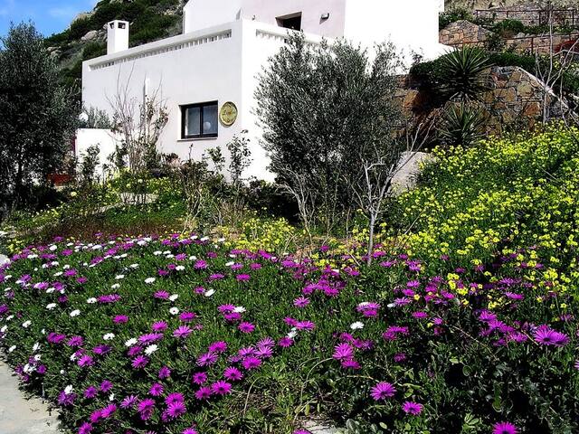 Villa “Dimitris” 2 bedroom, Istron gallery image 4