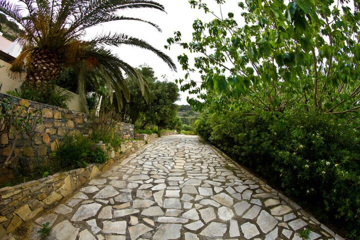 Villa “Dimitris” 2 bedroom, Istron gallery image 5