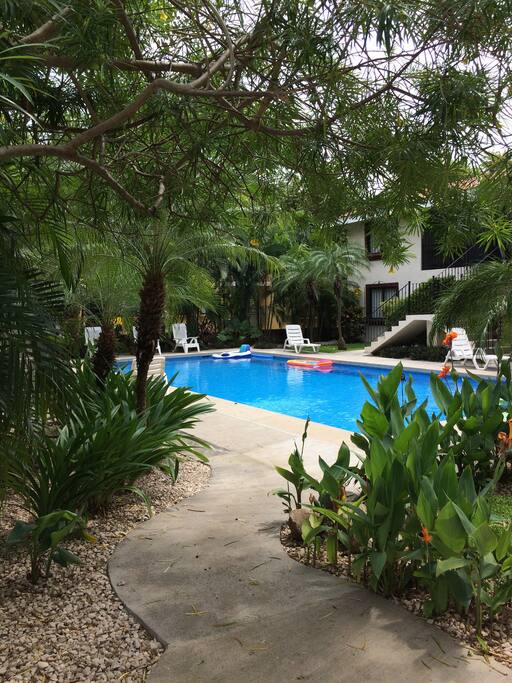Rooms For Rent In Costa Rica Rooms For Rent In Costa Rica
