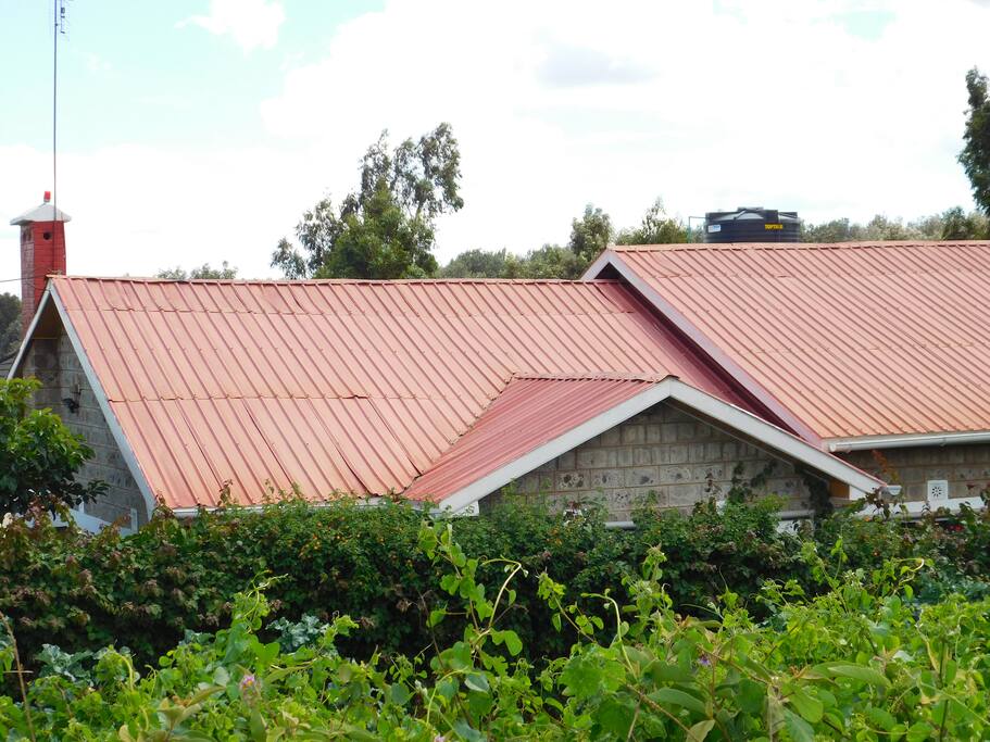 The House