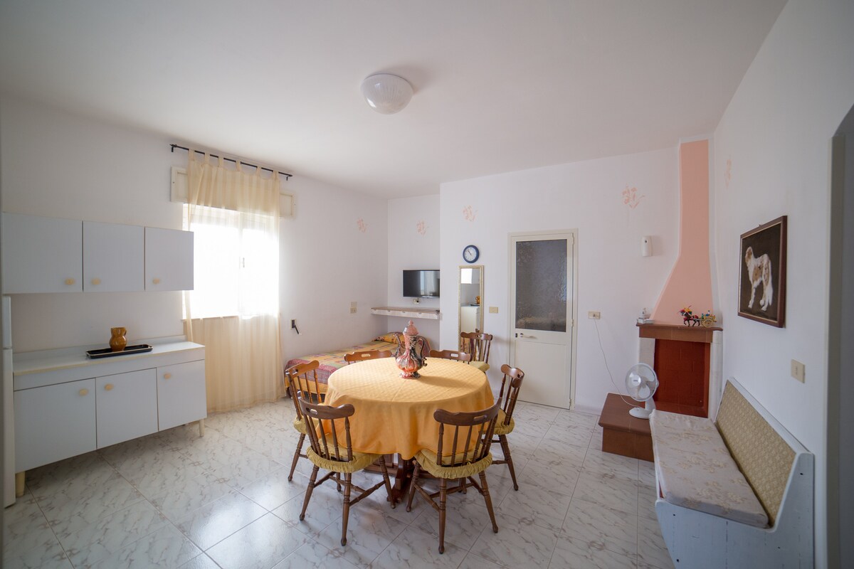 A spacious living area features a round dining table surrounded by wooden chairs, fostering a welcoming environment. Natural light floods the room through a large window adorned with sheer curtains. A small television and a decorative piece complement the minimalist decor.