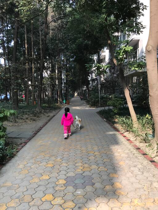 回家路上听到各种鸟叫。