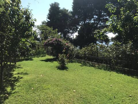 Large apartment in Buyukada with private garden.