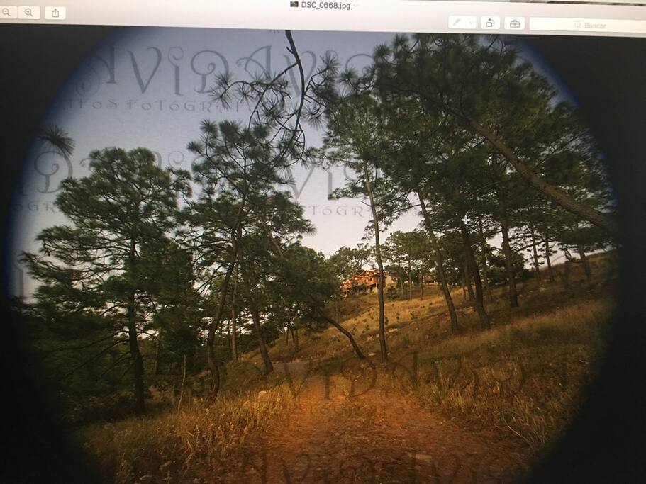 camino a la cabaña