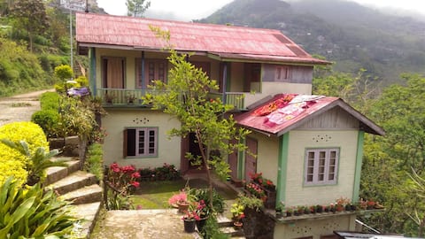 Hills view homestay in a green village (Khonoma)