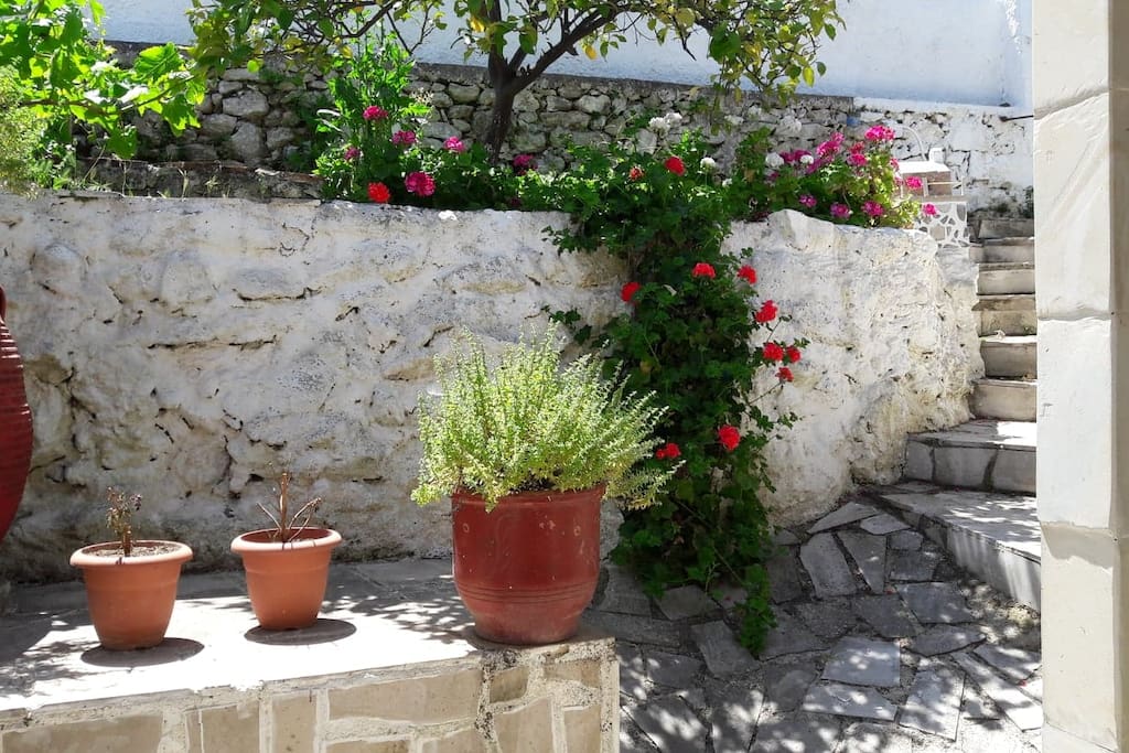 Courtyard for guests only