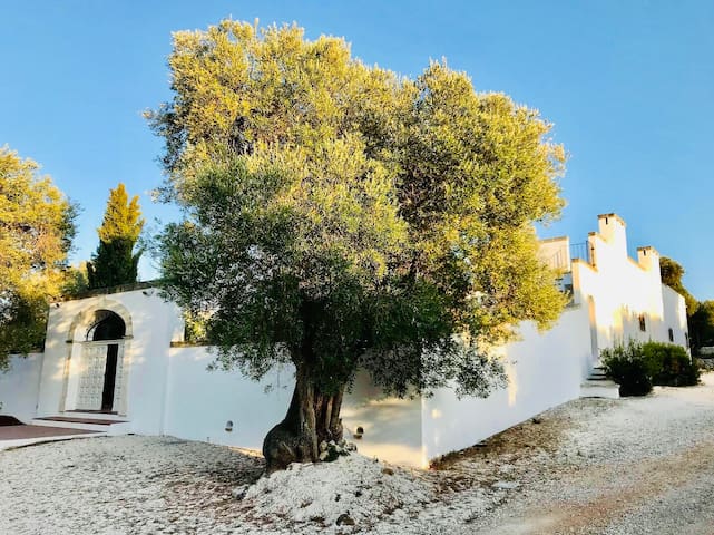 Villa La Corte -villa sea view – pool & garden