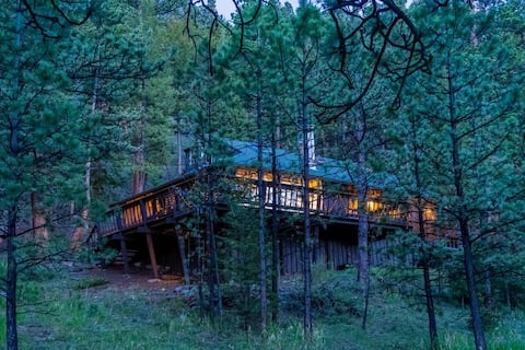 1914 cabin - king bed, fireplace, fishing, views!
