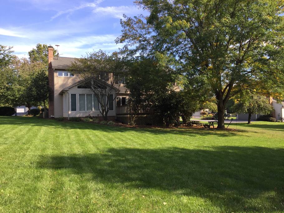 Backyard