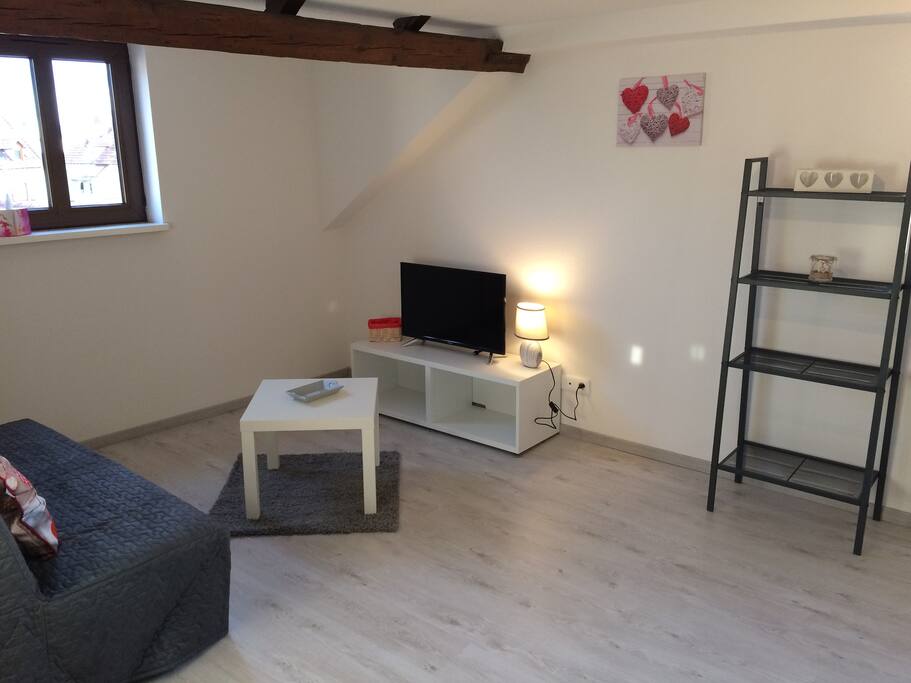 une partie du salon avec un canapé lit, tv et internet