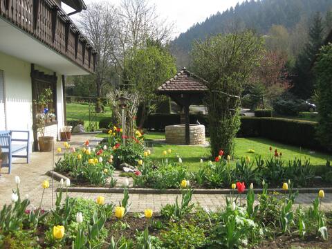 House Edelbrünnele - Forest view