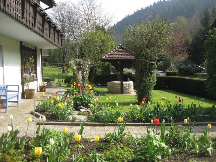 House Edelbrünnele - Forest view
