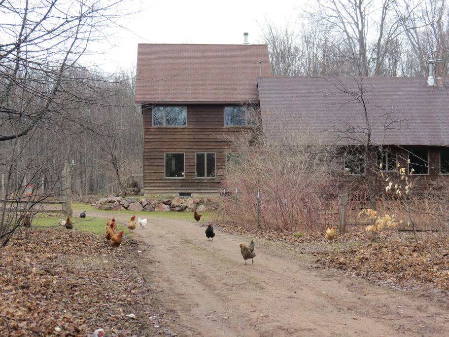 Driveway and front of house - early spring.