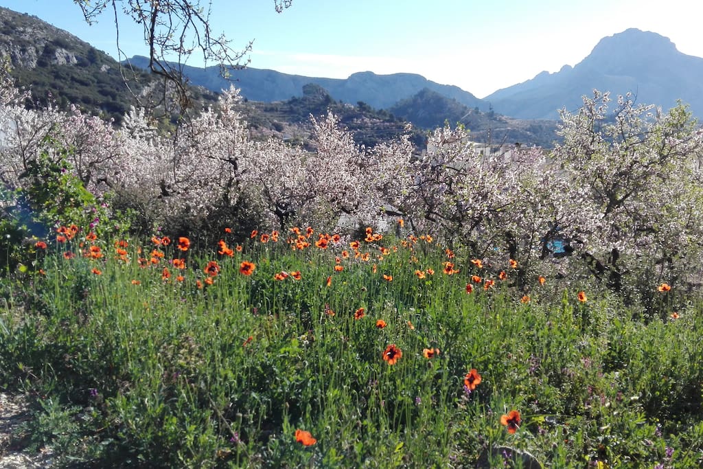 Paradise in the mountains