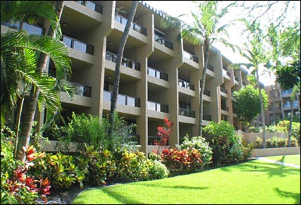 Building,High Rise,Architecture,Yard,Field