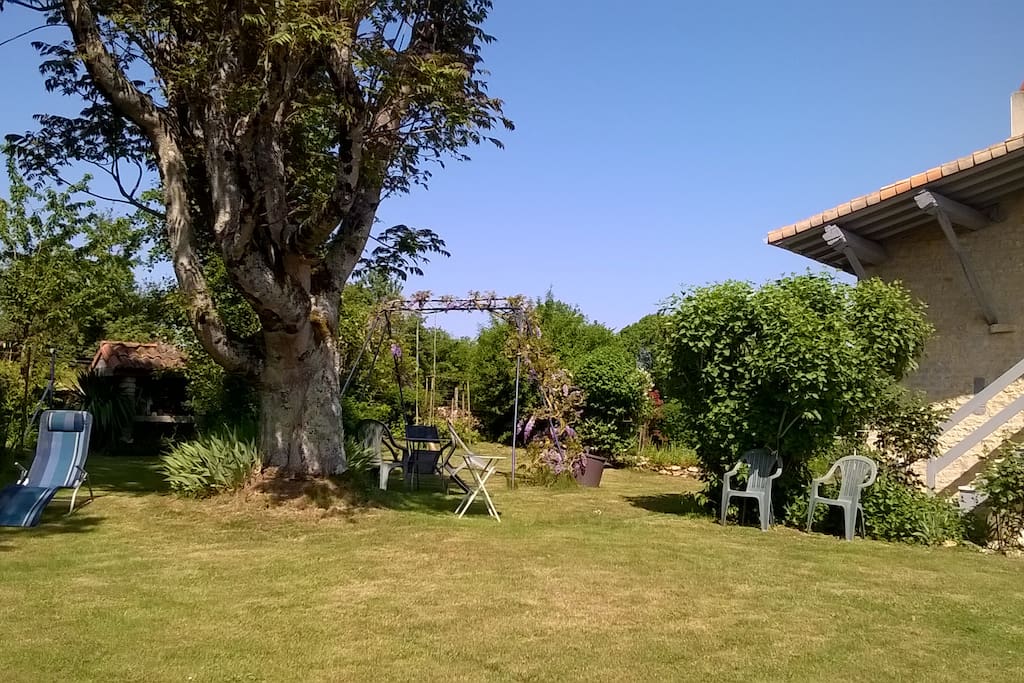 Jardin