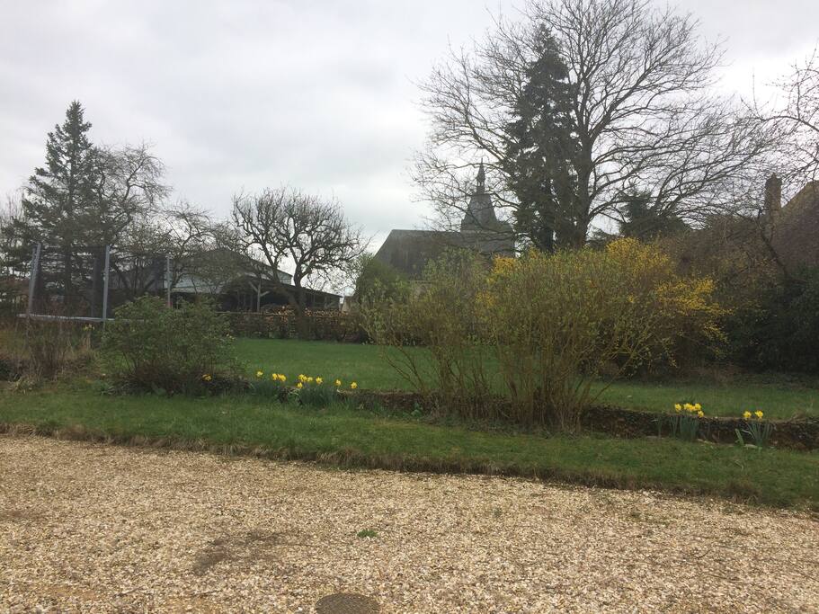 Le jardin et son trampoline