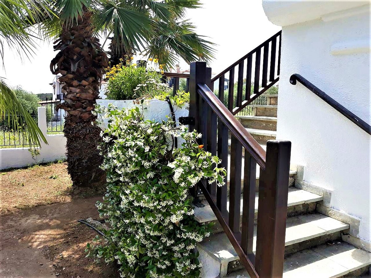 Sturdy wooden handrails frame the steps leading up to the villa, providing assistance while ascending. Lush greenery includes a blooming bush and a tall palm tree, enhancing the inviting entryway. The sun-drenched pathway is lined with flowering plants, creating a peaceful outdoor environment.