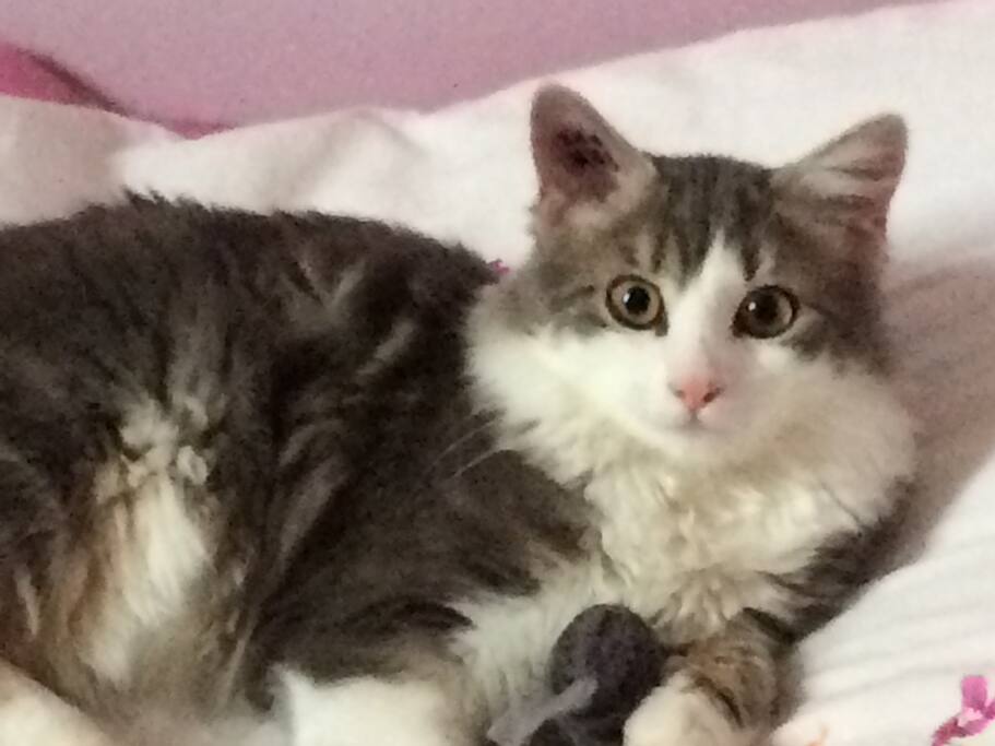 Il a un frère jumeau !