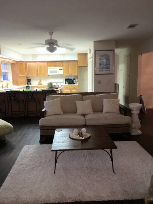 Living and Kitchen Area with a 4 person bar area off the kitchen