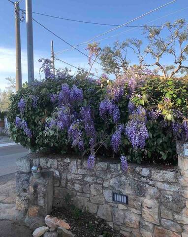 Trulli Nonna Graziella gallery image 5