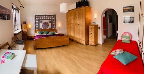 Heidelberg Appartement** 10 min to the City