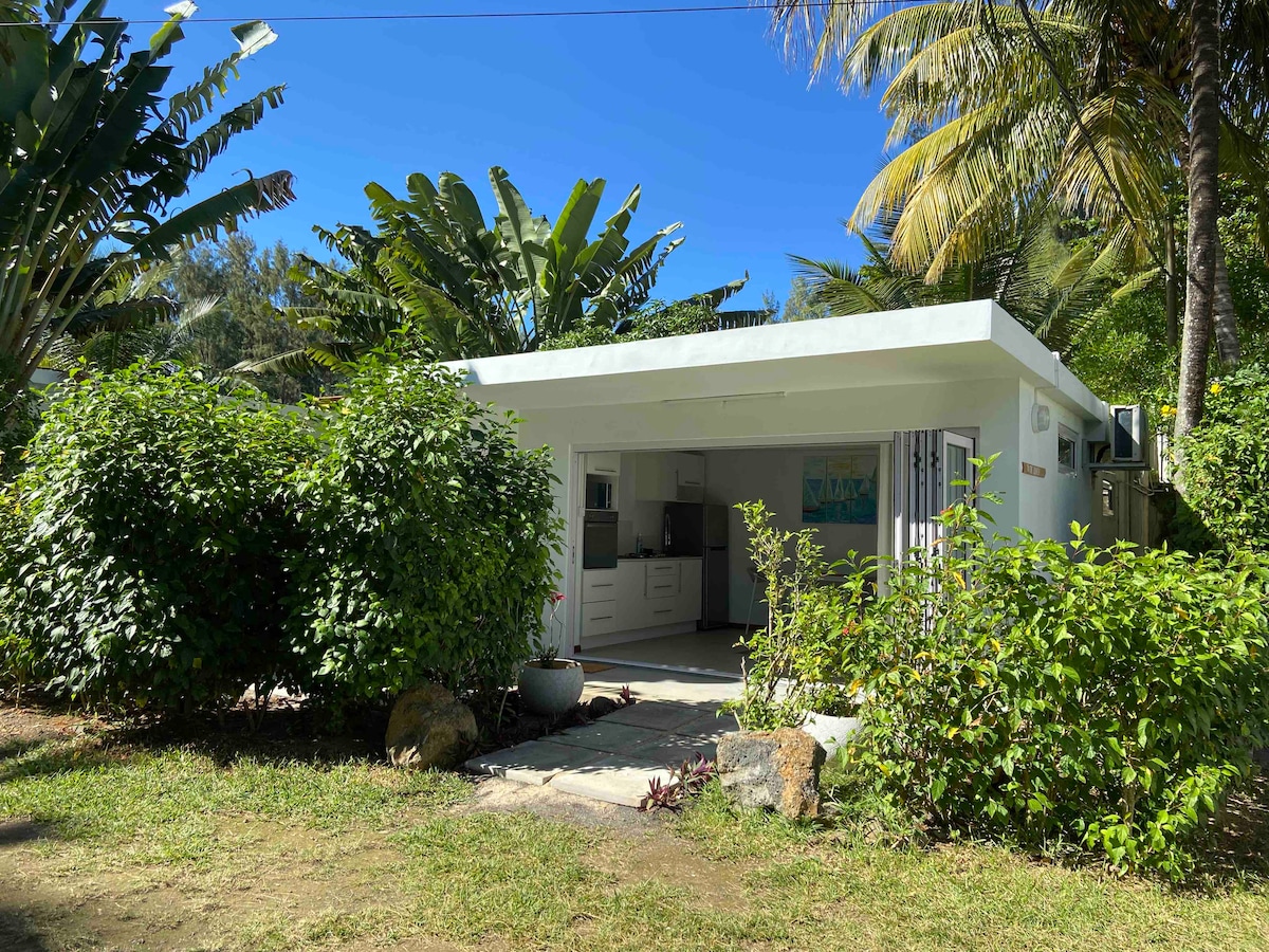 A modern small house is framed by lush greenery and palm trees, providing a serene setting. The exterior showcases large glass doors, leading to a well-lit interior space. The surroundings create a calm and natural environment.