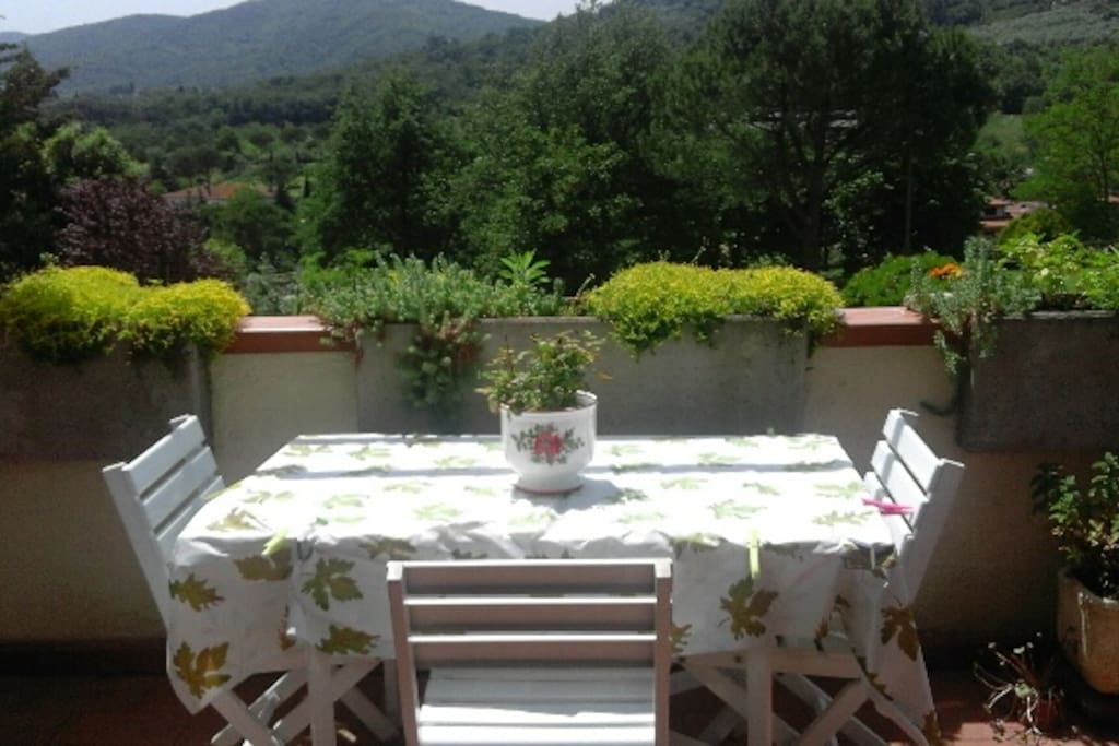 #terrace view