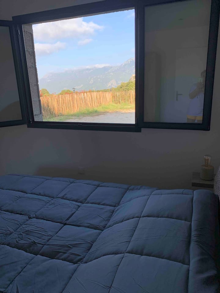 Vista de la habitación 1