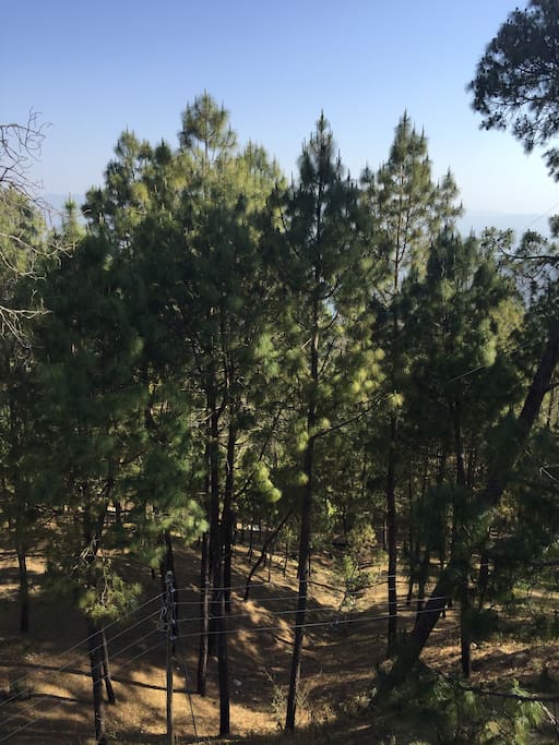 The actual view from the rear balcony