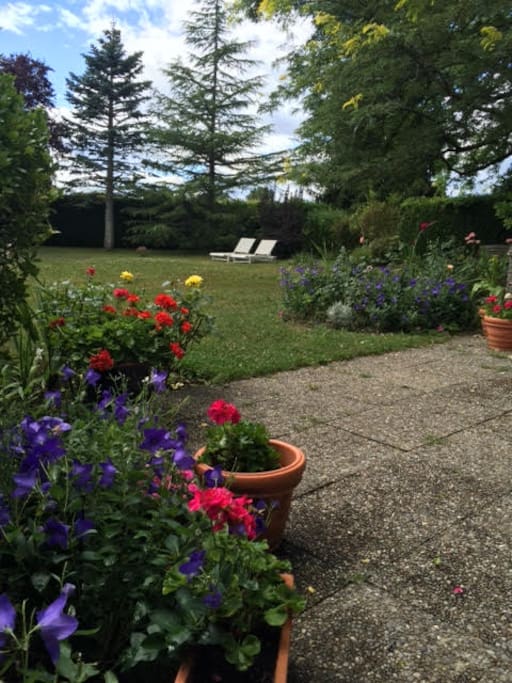 Relax and eat your meals on the patio if you wish