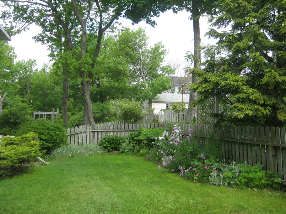 Fenced backyard with mature perennial garden, brick steps to lower-level pathway. Two level deck, with both sunny and shady areas, Weber gas bbq and patio dining set and Adirondack chairs.